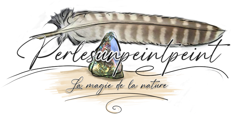 logo-pp